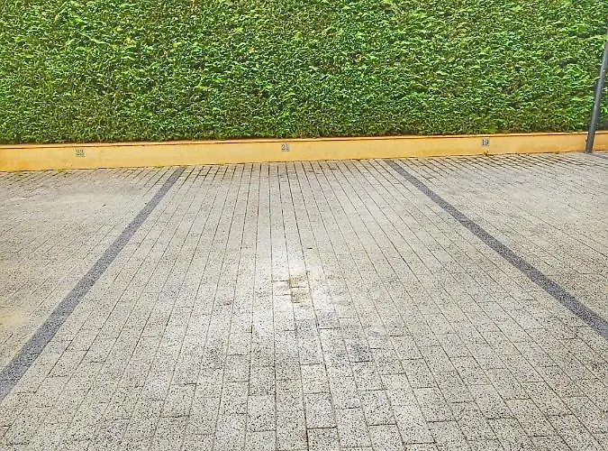 Apartment Matsa In Evergreen Complex