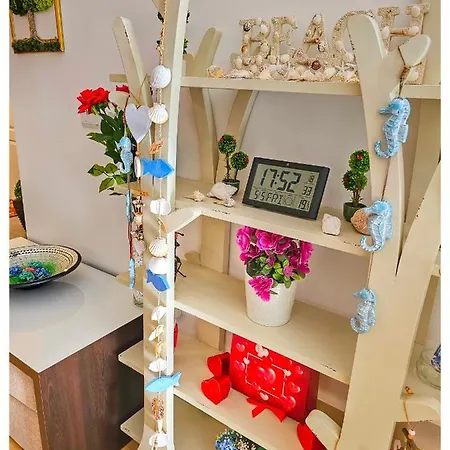 Matsa In Evergreen Complex Varna